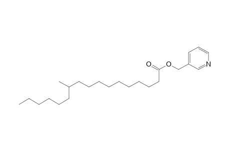 .beta.-picolinyl 11-methylheptadecanoate