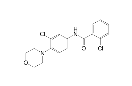 2,3'-dichloro-4'-morpholinobenzanilide