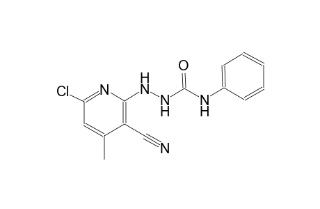 pyridine, 6-chloro-3-cyano-4-methyl-2-[2-[(phenylamino)carbonyl]hydrazino]-