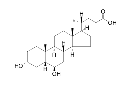 Murideoxycholic acid (MDCA)