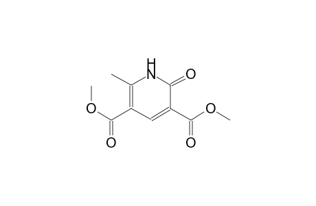 3,5-pyridinedicarboxylic acid, 1,2-dihydro-6-methyl-2-oxo-, dimethylester