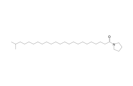 22-Methyl-tricosanoic acid, pyrrolidide