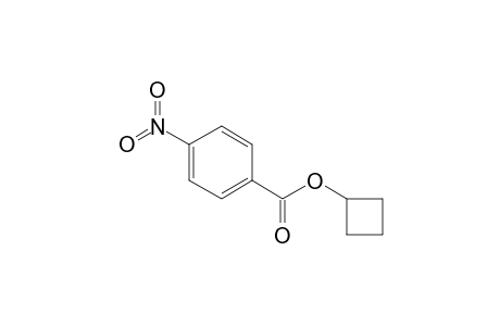 Cyclobutyl 4-nitrobenzoate