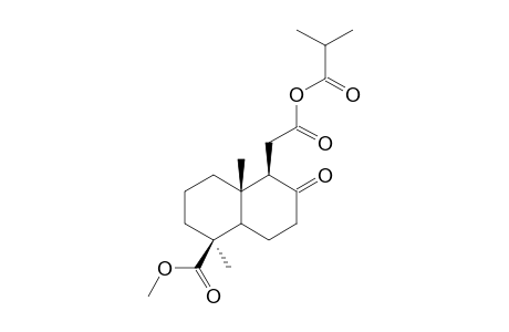 19-METHOXYCARBONYL-8-OXO-(13-17,19)-HEXANORLABDAN-12-OIC-ISOBUTYRIC-ANHYDRIDE