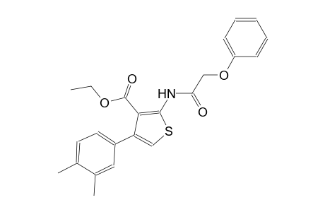 ethyl 4-(3,4-dimethylphenyl)-2-[(phenoxyacetyl)amino]-3-thiophenecarboxylate