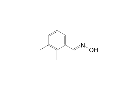 2,3-Dimethylbenzaldoxime