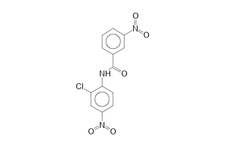 N-(2-Chloro-4-nitrophenyl)-3-nitrobenzamide