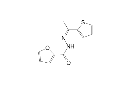 N'-[(Z)-1-(2-thienyl)ethylidene]-2-furohydrazide