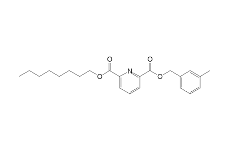 2,6-Pyridinedicarboxylic acid, 3-methylbenzyl octyl ester