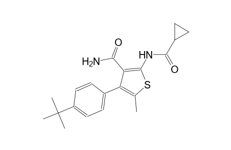 4-(4-tert-butylphenyl)-2-[(cyclopropylcarbonyl)amino]-5-methyl-3-thiophenecarboxamide