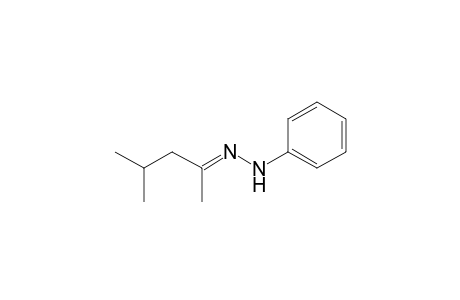 1-(4-Methylpentan-2-ylidene)-2-phenylhydrazine
