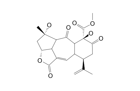 SINUMAXIMOL-I