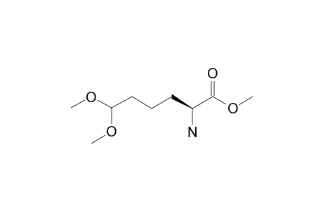 L-2-AMINO-6,6-DIMETHOXYHEXANOIC-ACID-METHYLESTER