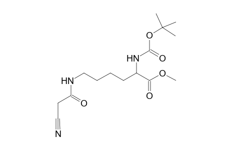 N(e)-(2-Cyanoacetyl)-N(a)-tert-butyloxycarbonyllysine methyl ester