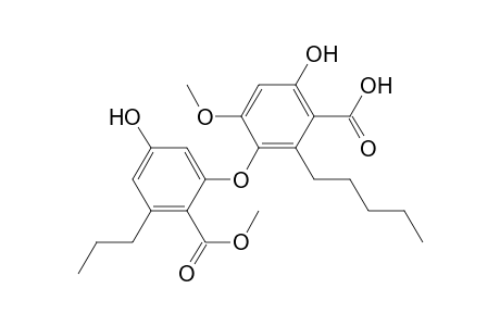 2-Amyl-3-(2-carbomethoxy-5-hydroxy-3-propyl-phenoxy)-6-hydroxy-4-methoxy-benzoic acid