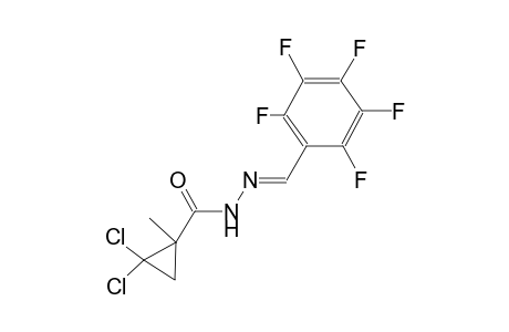 2,2-dichloro-1-methyl-N'-[(E)-(2,3,4,5,6-pentafluorophenyl)methylidene]cyclopropanecarbohydrazide