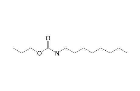 Carbonic acid, monoamide, N-octyl-, propyl ester