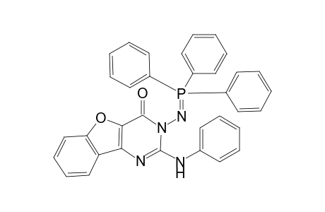 2-Phenylamino-3-(triphenylphosphoranylidene)amino-benzofuro[3,2-d]pyrimidin-4(3H)- one