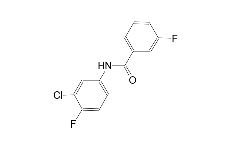 N-(3-chloro-4-fluorophenyl)-3-fluorobenzamide