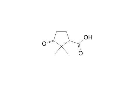 2,2-Dimethyl-3-oxocyclopentanecarboxylic acid
