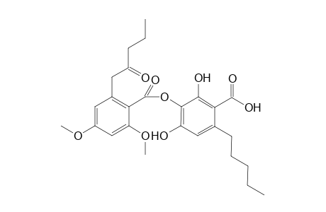 4-O-Methyloxocryptochlorophaeic acid