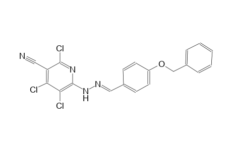 3-pyridinecarbonitrile, 2,4,5-trichloro-6-[(2E)-2-[[4-(phenylmethoxy)phenyl]methylene]hydrazino]-