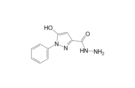 5-oxo-1-phenyl-2-pyrazoline-3-carboxylic acid, hydrazide