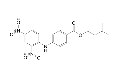 benzoic acid, 4-[(2,4-dinitrophenyl)amino]-, 3-methylbutyl ester