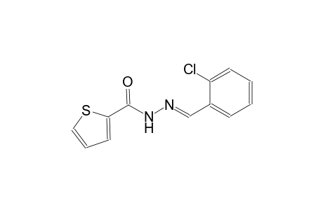 N'-[(E)-(2-chlorophenyl)methylidene]-2-thiophenecarbohydrazide