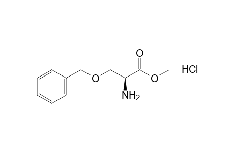 L-3-(benzyloxy)alanine, methyl ester, hydrochloride