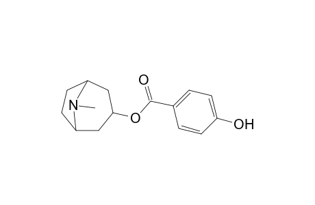 tropan-3-ol, p-hydroxybenzoate