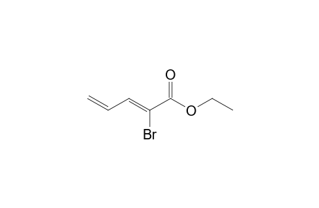 ethyl (2Z)-2-bromopenta-2,4-dienoate