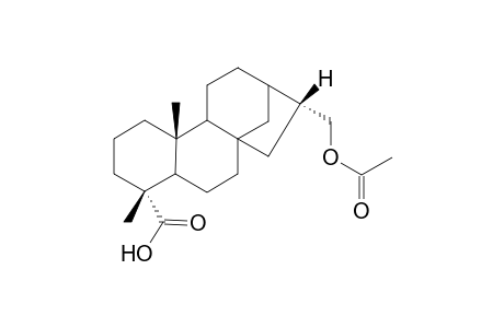 17-Acetoxy-16.beta.-ent-kauran-19-ioc acid