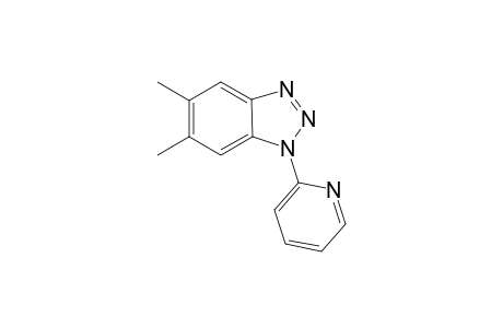 5,6-Dimethyl-1-(pyridin-2-yl)-1H-benzo[d][1,2,3]triazole