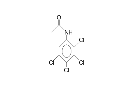 2,3,4,5-Tetrachloro-acetanilide