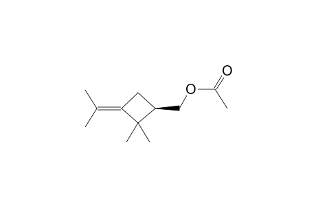 1-ISOPROPYLIDENE-3-ACETOXYMETHYL-2,2-DIMETHYLCYCLOBUTANE
