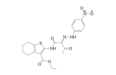 N-(3-Ethoxycarbonyl-4,5,6,7-tetrahydrobenzo[b]thien-2-yl)-2-(4-nitrophenyl hydrazono)-3-oxobutanamide