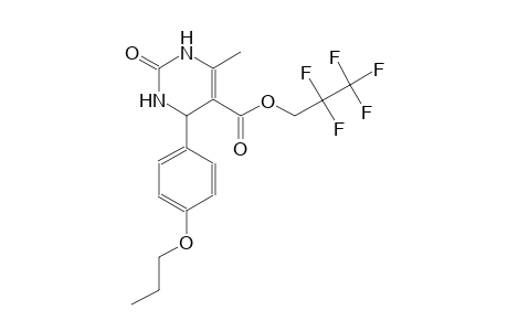 2,2,3,3,3-Pentafluoropropyl 6-methyl-2-oxo-4-(4-propoxyphenyl)-1,2,3,4-tetrahydro-5-pyrimidinecarboxylate