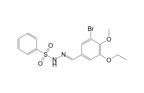 N'-[(E)-(3-bromo-5-ethoxy-4-methoxyphenyl)methylidene]benzenesulfonohydrazide