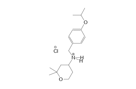 2H-pyran-4-aminium, tetrahydro-2,2-dimethyl-N-[[4-(1-methylethoxy)phenyl]methyl]-, chloride