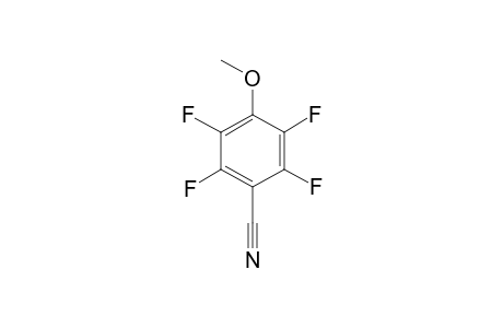 TETRAFLUORO-4-METHOXYBENZONITRILE
