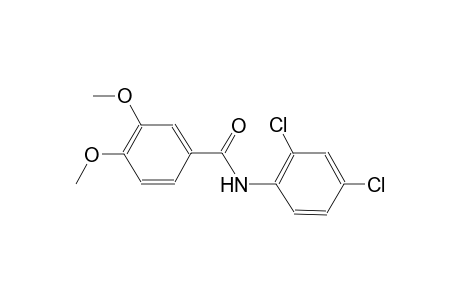 N-(2,4-dichlorophenyl)-3,4-dimethoxybenzamide