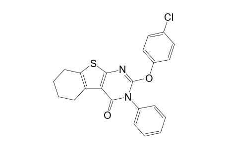 2-(4-Chlorophenyloxy)-3-phenyl-5,6,7,8-tetrahydrobenzothieno[2,3-d]pyrimidin-4(3H)-one