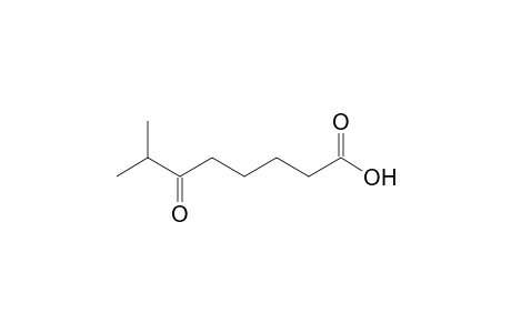7-Methyl-6-oxooctanoic acid