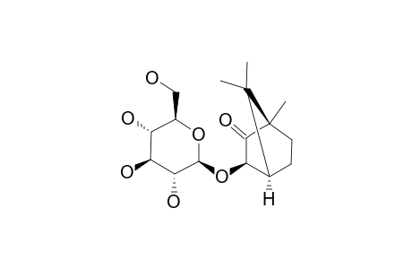 (1R,3R,4S)-3-HYDROXYBORNAN-2-ONE-3-O-BETA-D-GLUCOPYRANOSIDE