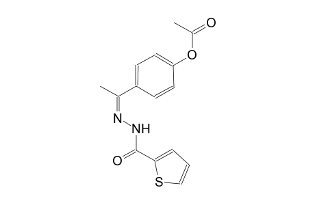 4-[(1Z)-N-(2-thienylcarbonyl)ethanehydrazonoyl]phenyl acetate