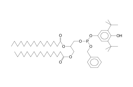 BENZYL(1,2-DIPALMITOYL-RAC-GLYCERO-3)(4-HYDROXY-3,5-DI-TERT-BUTYLPHENYL)PHOSPHITE (DIASTEREOMER MIXTURE)