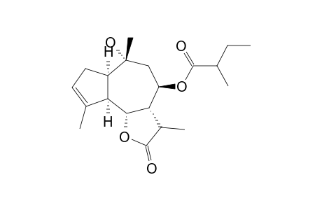 AMMOLACTONE-A;8-(2-METHYLBUTANOYL)-10-HYDROXY-3-GUAIEN-12,6-OLIDE