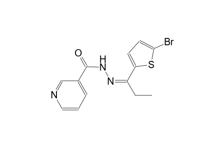 N'-[(Z)-1-(5-bromo-2-thienyl)propylidene]nicotinohydrazide