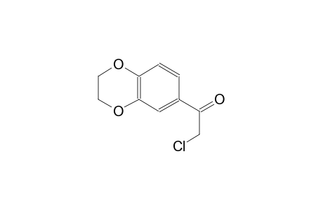 ethanone, 2-chloro-1-(2,3-dihydro-1,4-benzodioxin-6-yl)-